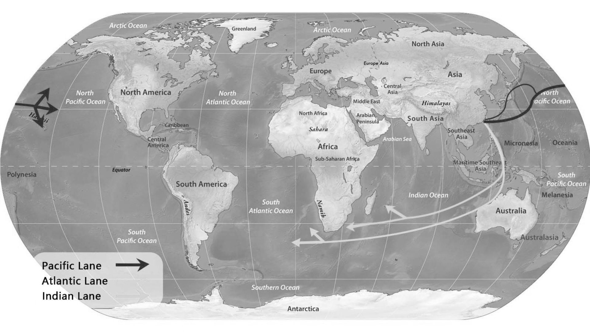 The Artery – International Shipping Strategy
