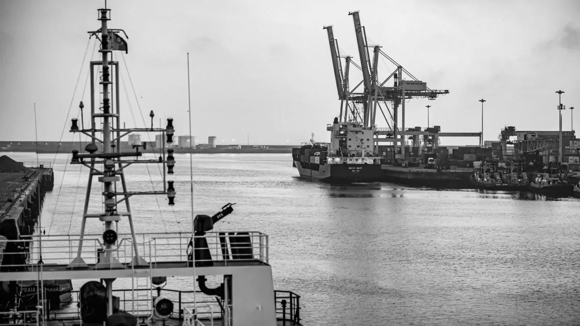 Cargo port logistics and maritime shipping for Radiant supply chain project