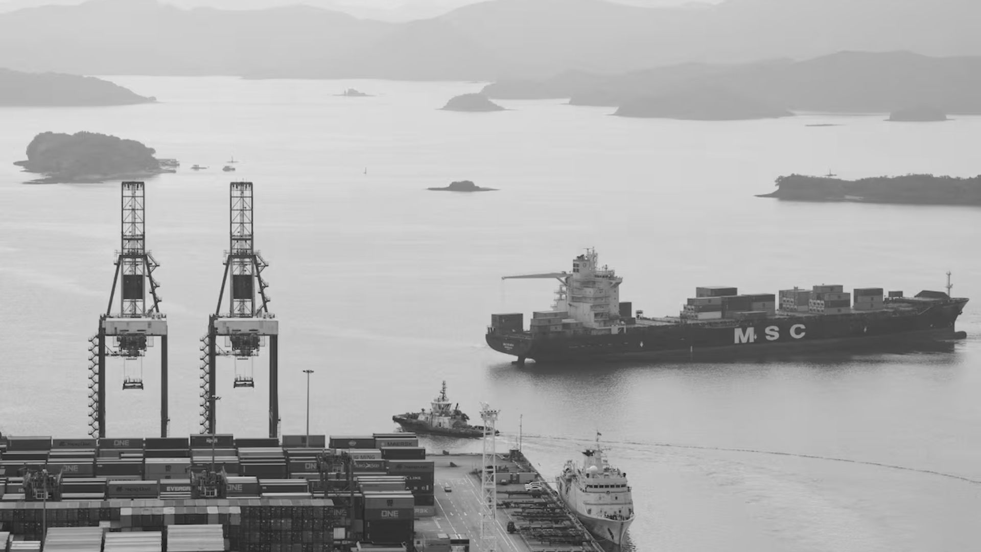 Reaching the $6.3 Trillion Mark: China’s Trade Demonstrates Remarkable Resilience and a Shift Toward High-Value Activities