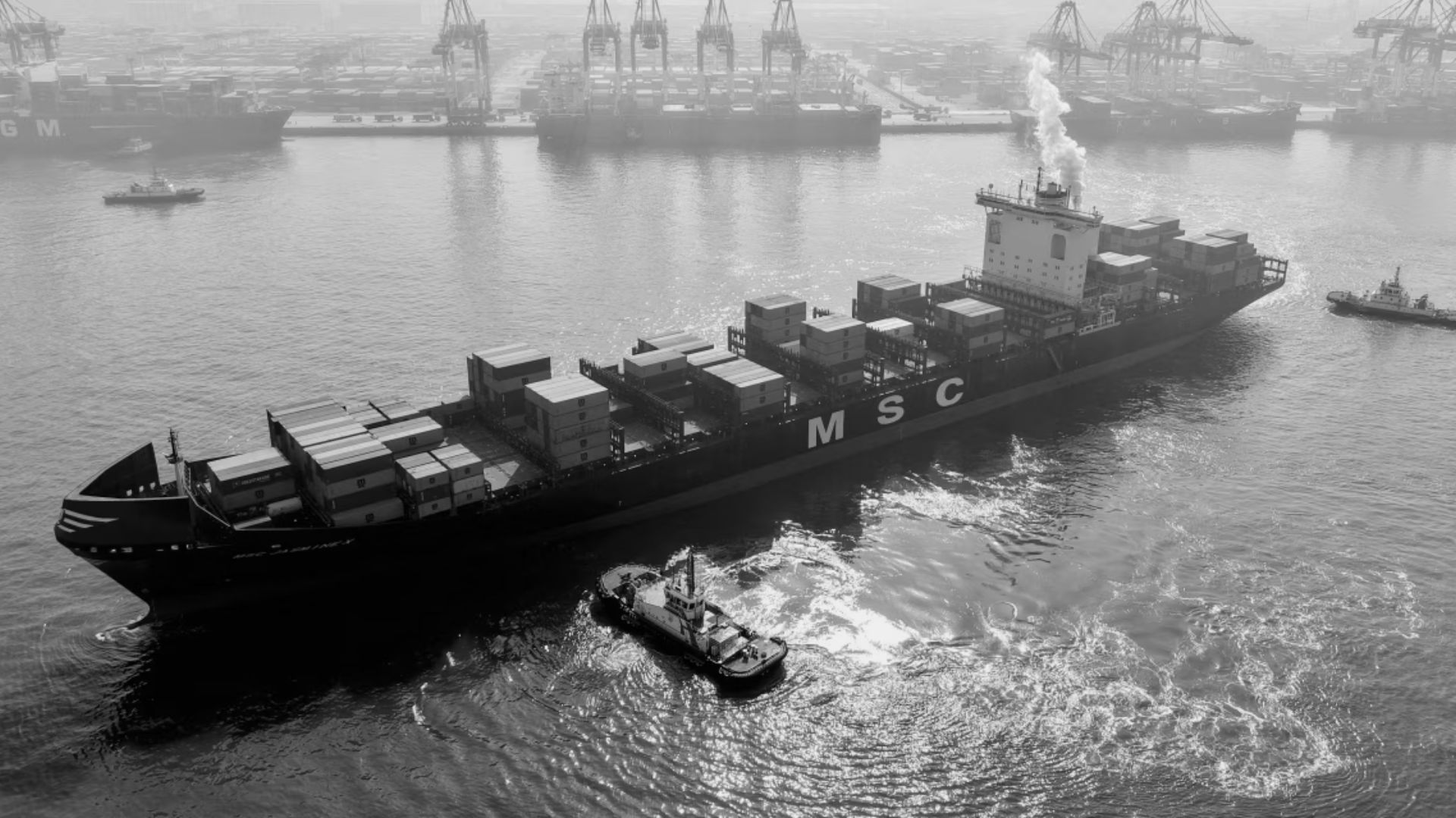 Supply Chain Modernization and Specialized Logistics
